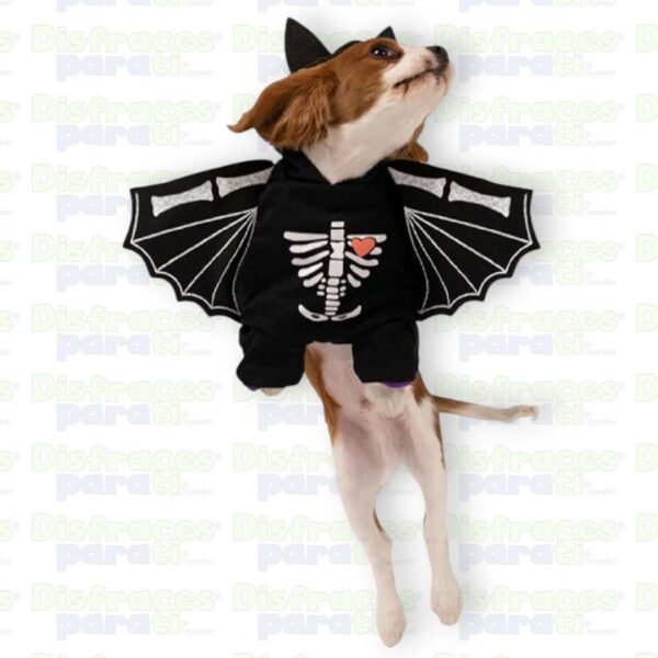 DISFRAZ MURCIÉLAGO ESQUELETO PARA MASCOTA